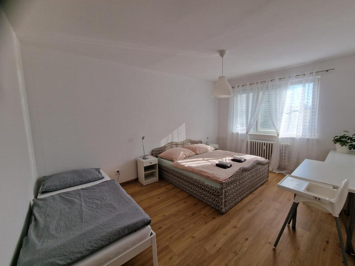 Apartment Simon Ii. Frantiskovy Lazne Ngoại thất bức ảnh